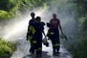 Waldbrand Koeln Hoehenhaus Hoehenfelder Mauspfad P194